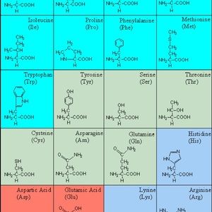 Meet your Posher, Charles